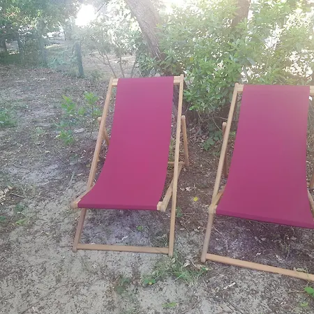 Des Louisettes Et Paulin 300m De La