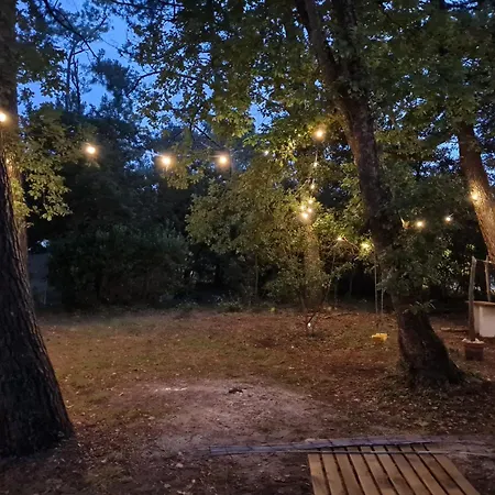 Des Louisettes Et Paulin 300m De La Holiday home