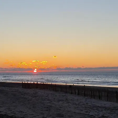 Des Louisettes Et Paulin 300m De La
